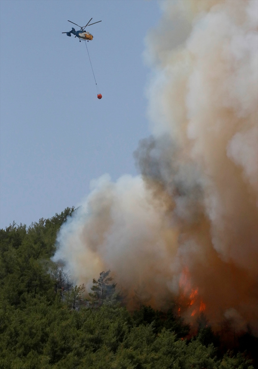 İzmir'deki yangında 100 hektar alan zarar gördü