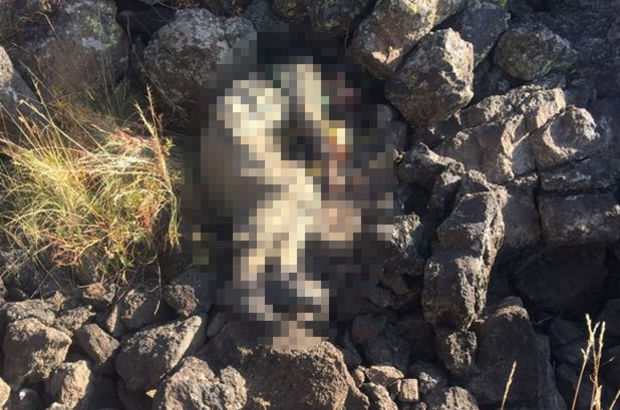 PKK'nın Tendürek bölge sorumlusu Hakan Yeni öldürüldü