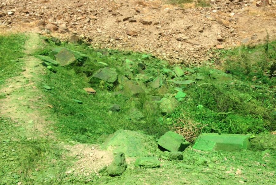 CHP'li belediye dağ yamacını yeşile boyadı