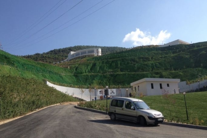 CHP'li belediyenin doğa anlayışı: Yeşile boyamak