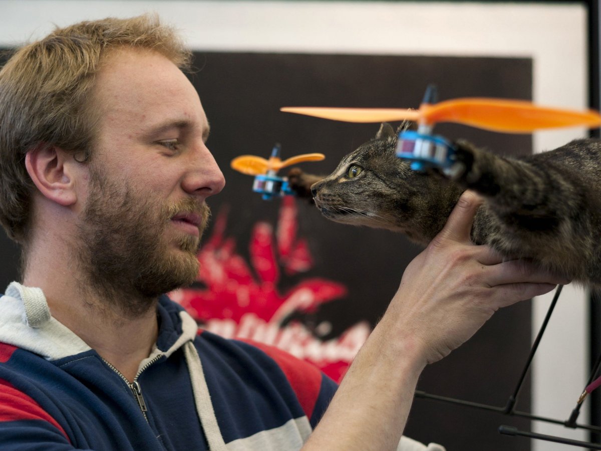 Kedisinden drone yapan Hollandalı inekten helikopter yapacak