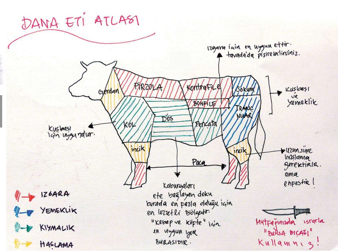 Dana eti atlası