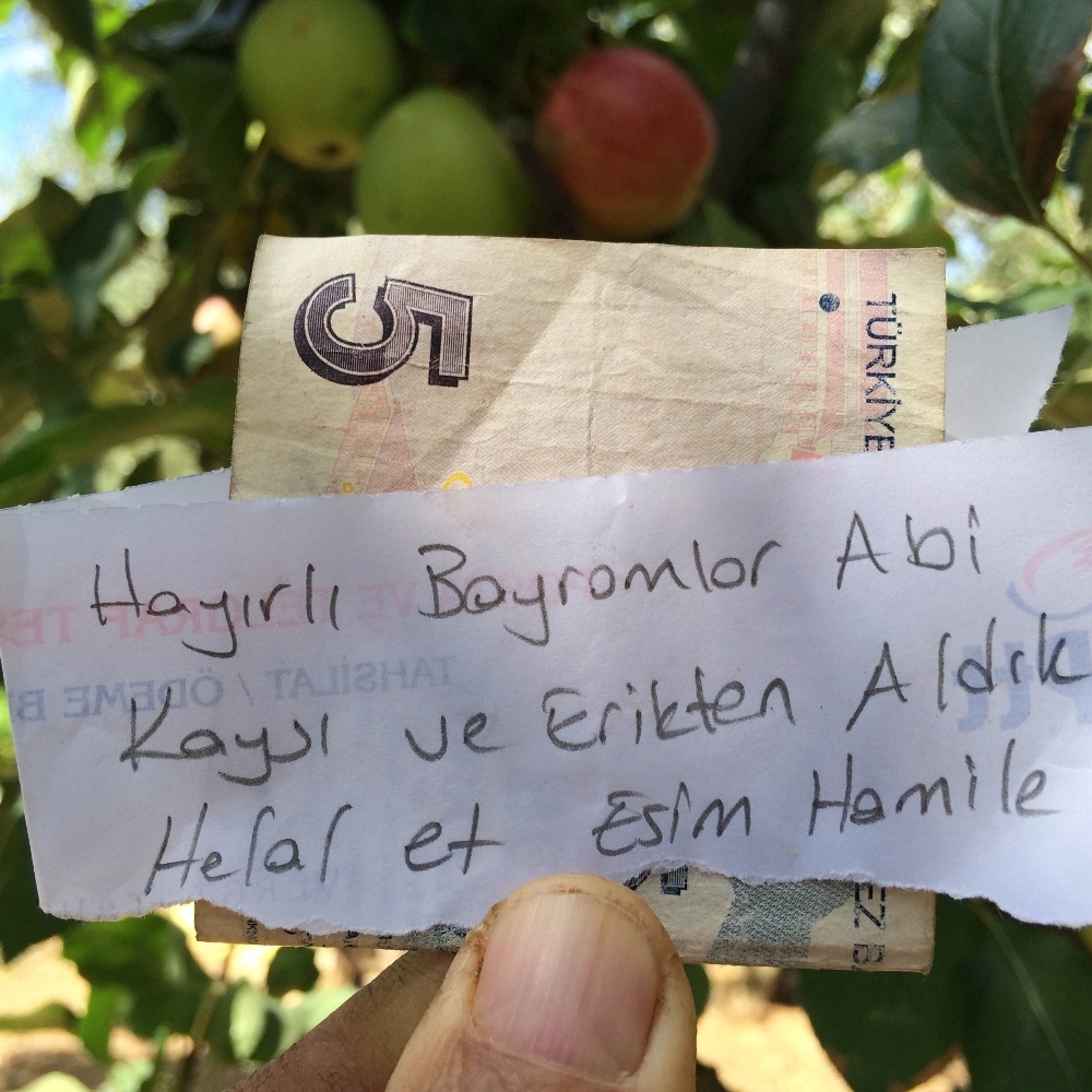 İzinsiz meyve aldığı bahçenin sahibine not bıraktı