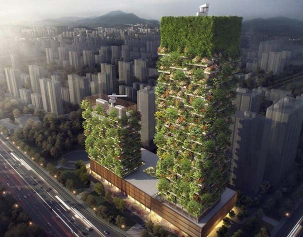 Çin'de dikey ormanlar inşa edilecek