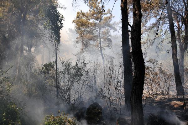 Antalya'da 10 dönümlük orman yandı