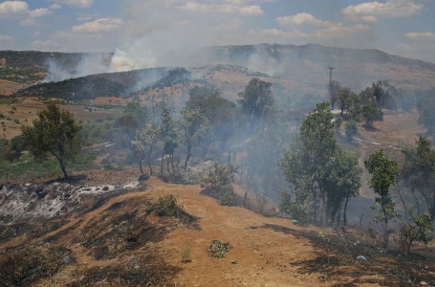 Yakalanan PKK'lı: Köylüler kaçalım diye yangın çıkardı
