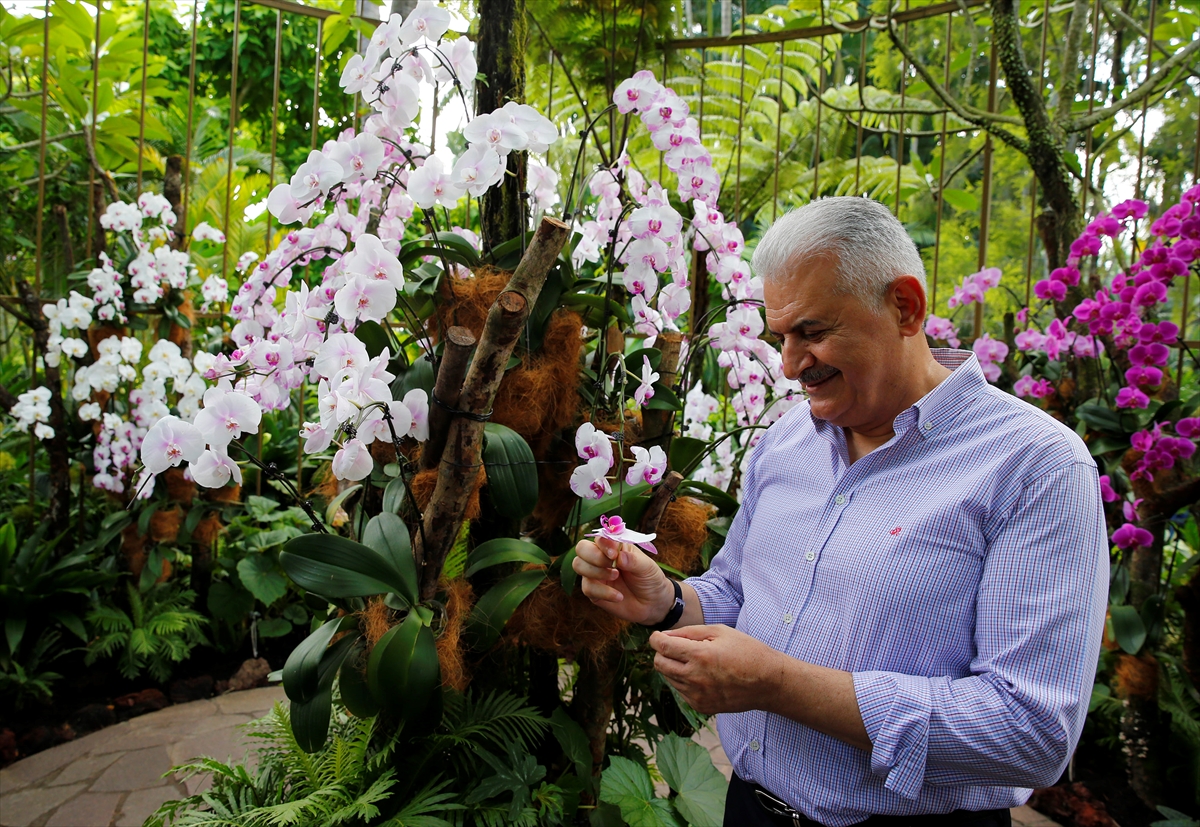 Başbakan Yıldırım'a Singapur'da orkide sürprizi