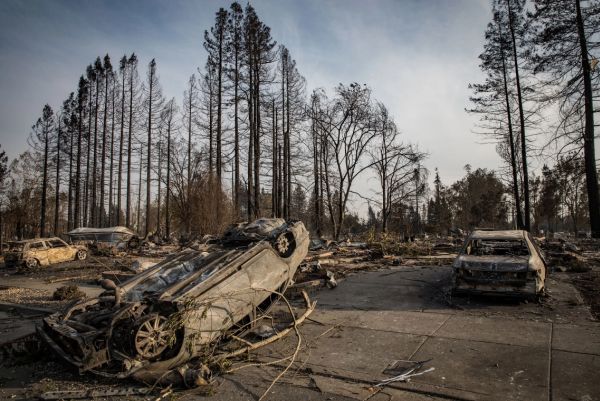 Kaliforniya'daki orman yangınlarında son durum