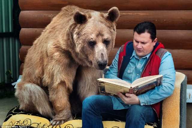 Rus aile evlerinde ayı besliyor 