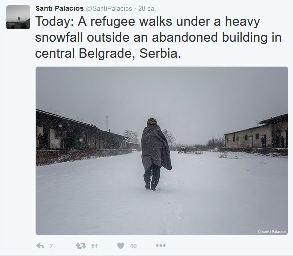 1500 mülteci Belgrad'da ölüme terk edildi